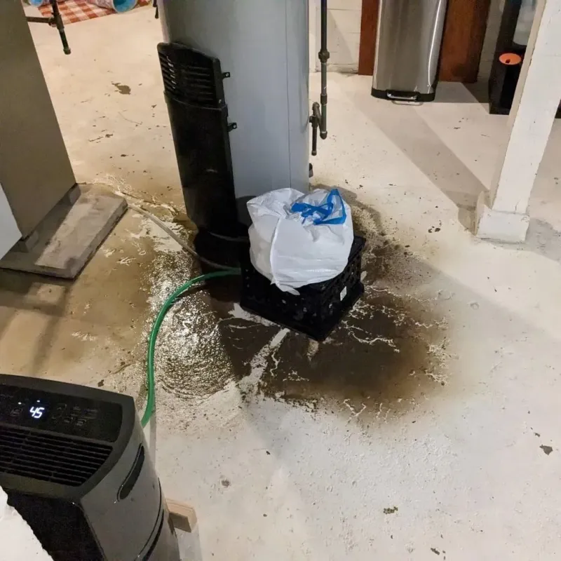 Sewage Backup Cleanup Service in Lenwood, CA